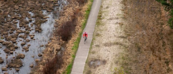 Cycliste en rouge sur une voie verte bordant une zone humide