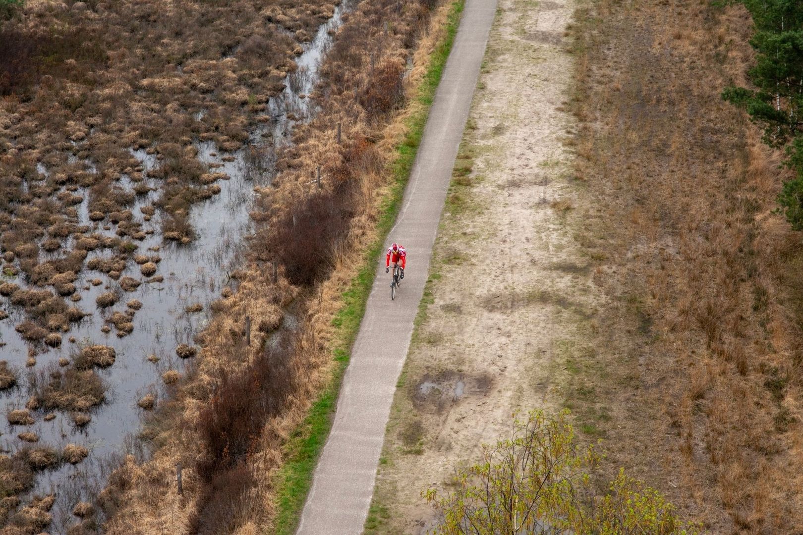 Cycliste en rouge sur une voie verte bordant une zone humide