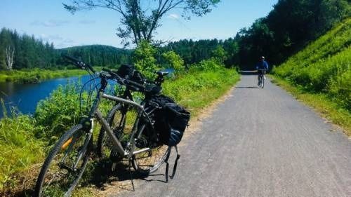 Vélos stationnés sur une voie verte bordant un plan d