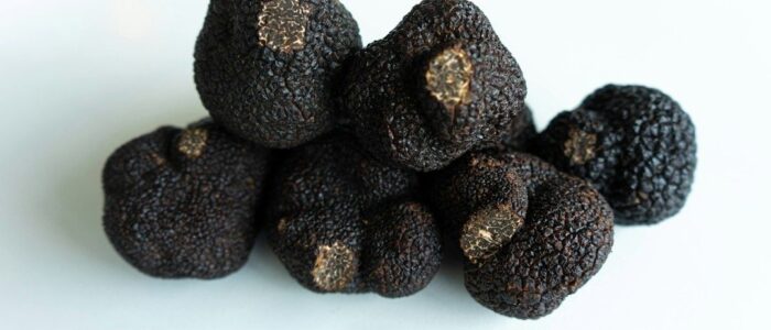 Groupe de truffes noires fraîches, aux surfaces rugueuses et bosselées