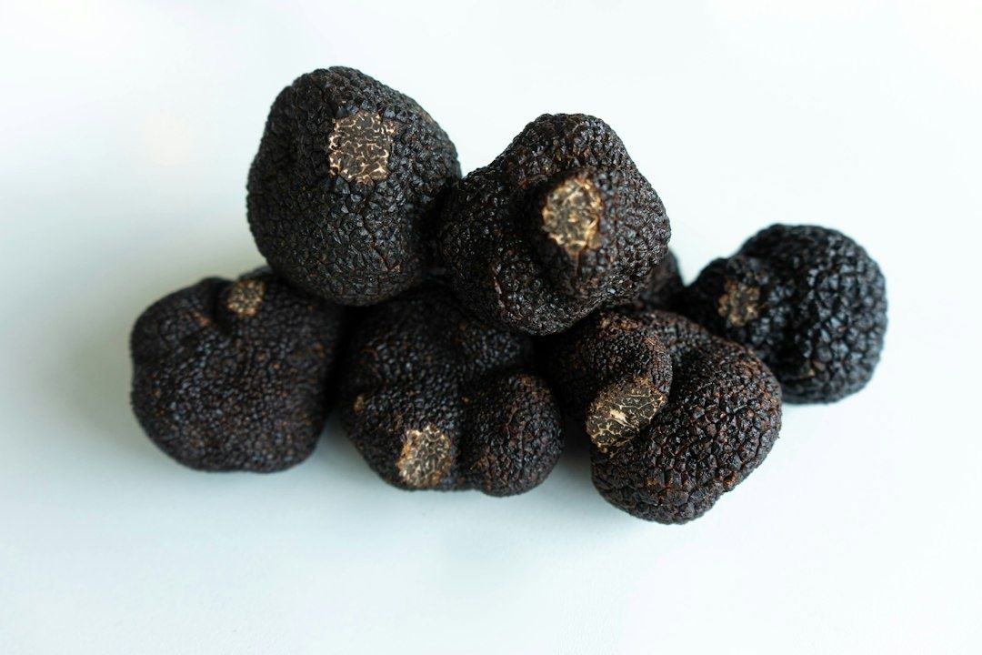 Groupe de truffes noires fraîches, aux surfaces rugueuses et bosselées